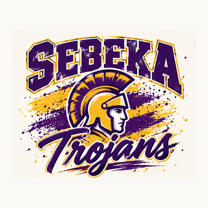 Sebeka Trojans school sports and clubs collection
