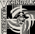 Verndale Volleyball